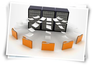 organize the data